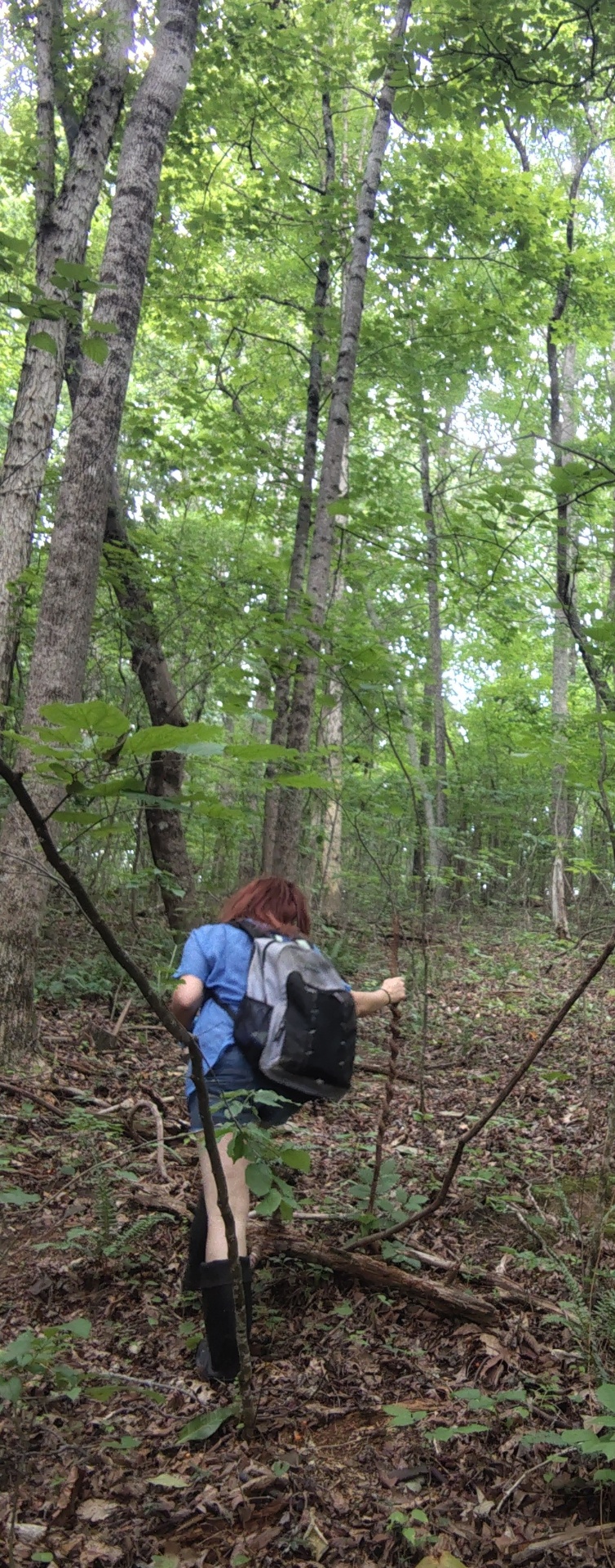 Lorra walking with a backpack and walking stick down a sunlit Appalachian forest path