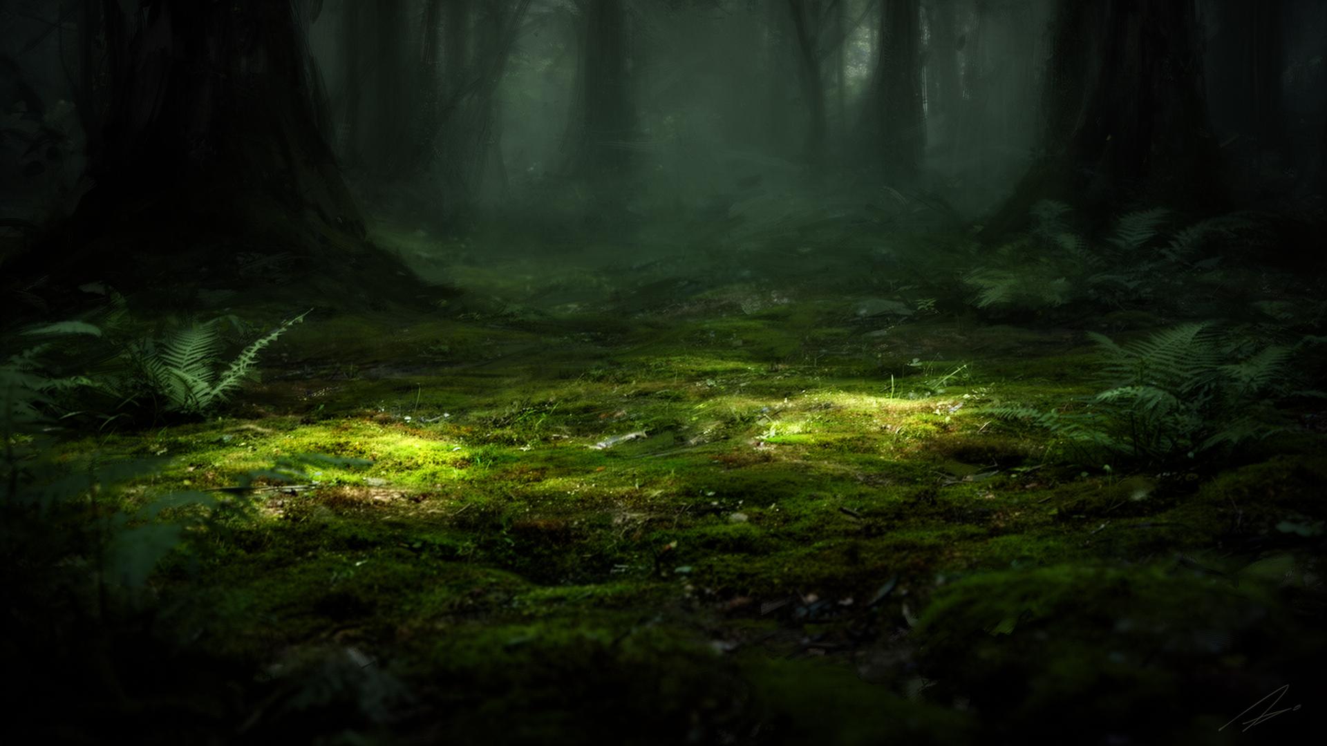 A sunlit path winding through an Appalachian forest
